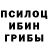 Псилоцибиновые грибы Psilocybine cubensis Elllen Torng
