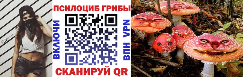 Галлюциногенные грибы мухоморы  Купить где  Тулун 